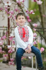 Вишиванка для хлопчиків "Миколай" з домотканого полотна, білий з червоним та чорним - Зображення 4