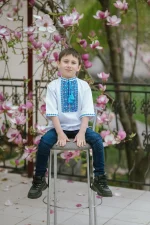 Вишиванка для хлопчиків, домоткане полотно, "Серця" - Зображення 3